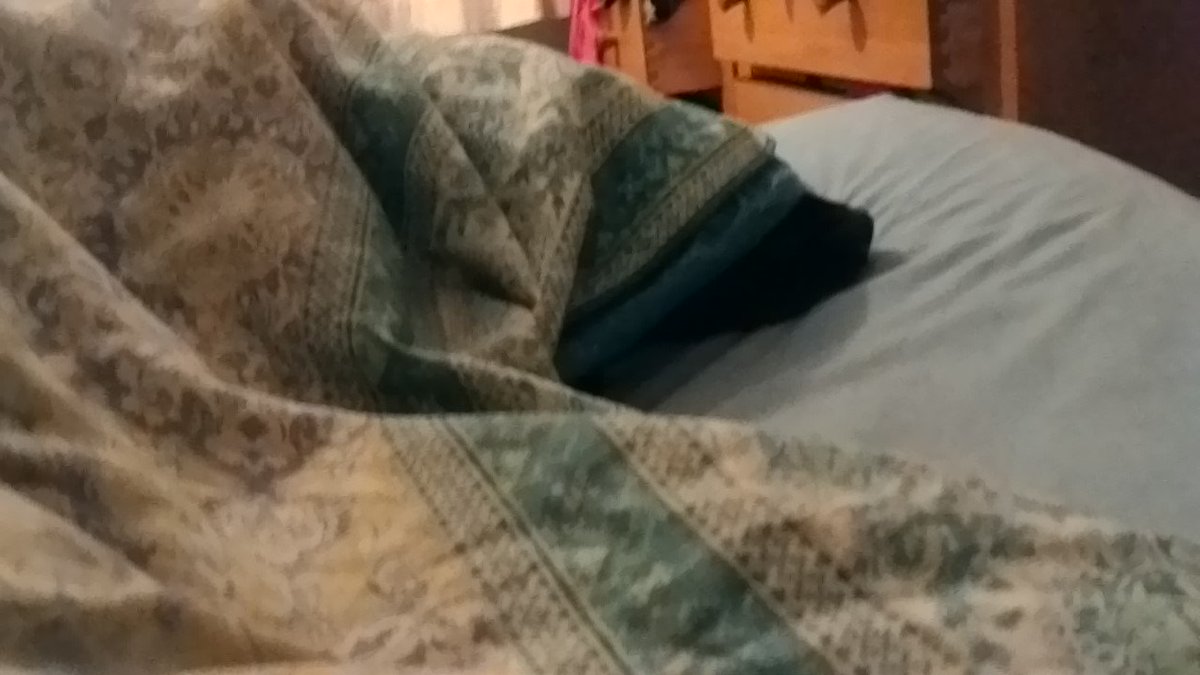 Wiggooo's tweet photo. Mawnings
Frost outside so just resting
#HappyChristmas https://t.co/HqV2x3PI7B