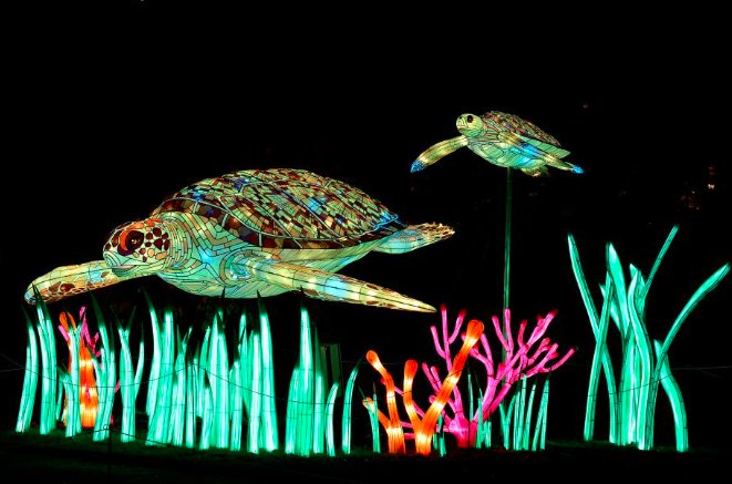 Illuminated Species event at the Jardin des Plantes #paris 
lesgrandshotelsparisiens.com/blog/illuminat…