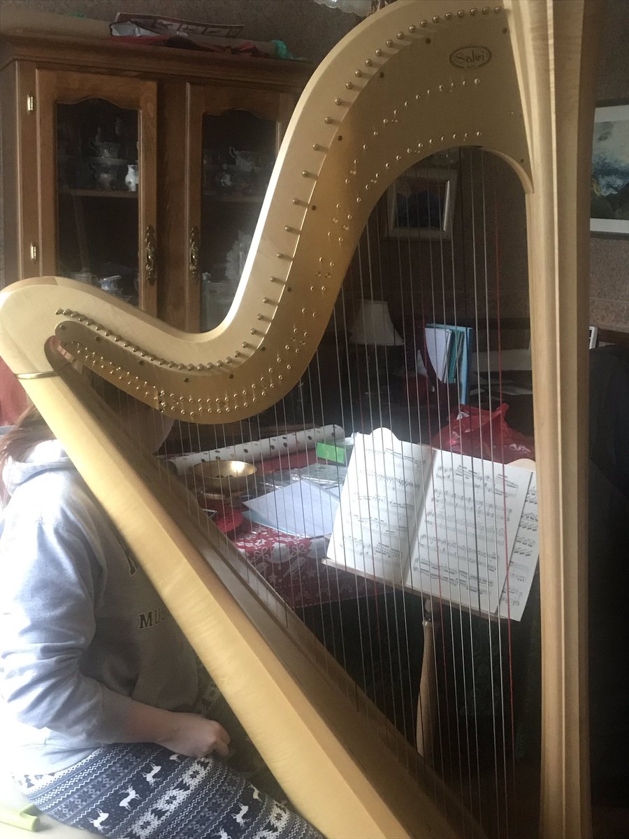 MaredEmyrHarp's tweet photo. Nadolig Llawen. Digon o amser i ymarfer cyn cinio / Merry Christmas. Enough time to practice before dimner! 🎄🎄 https://t.co/8nzz1wiDOh
