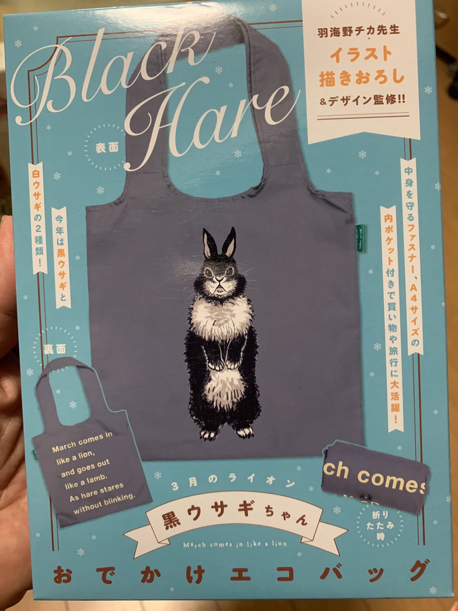 黒ウサギちゃん