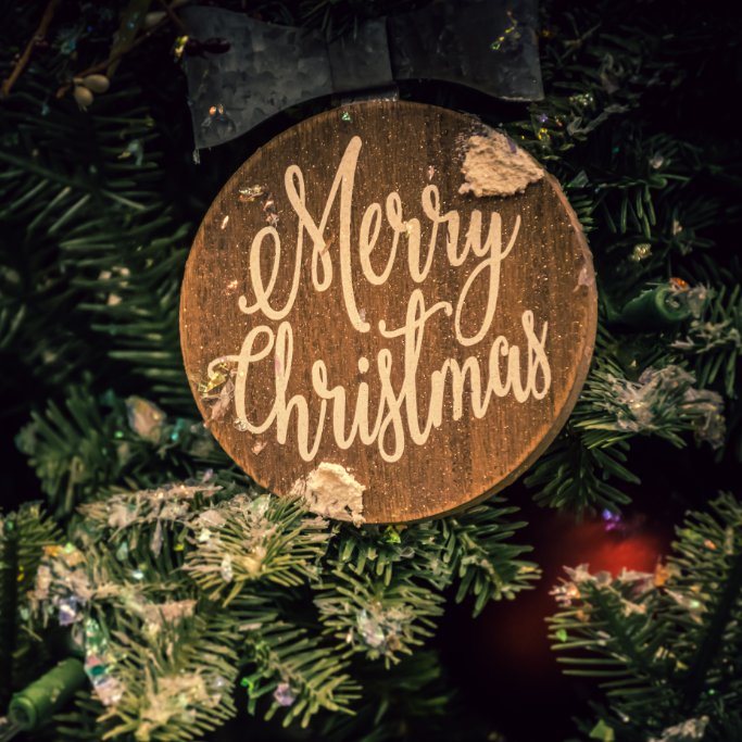 kithkintraining's tweet photo. ⭐ Wishing you all a very merry Christmas - from everyone in the Kith + Kin team ⭐

#christmas #christmastime #christmas2018 #celebrate #merrychristmas https://t.co/UJwjyYwNU5
