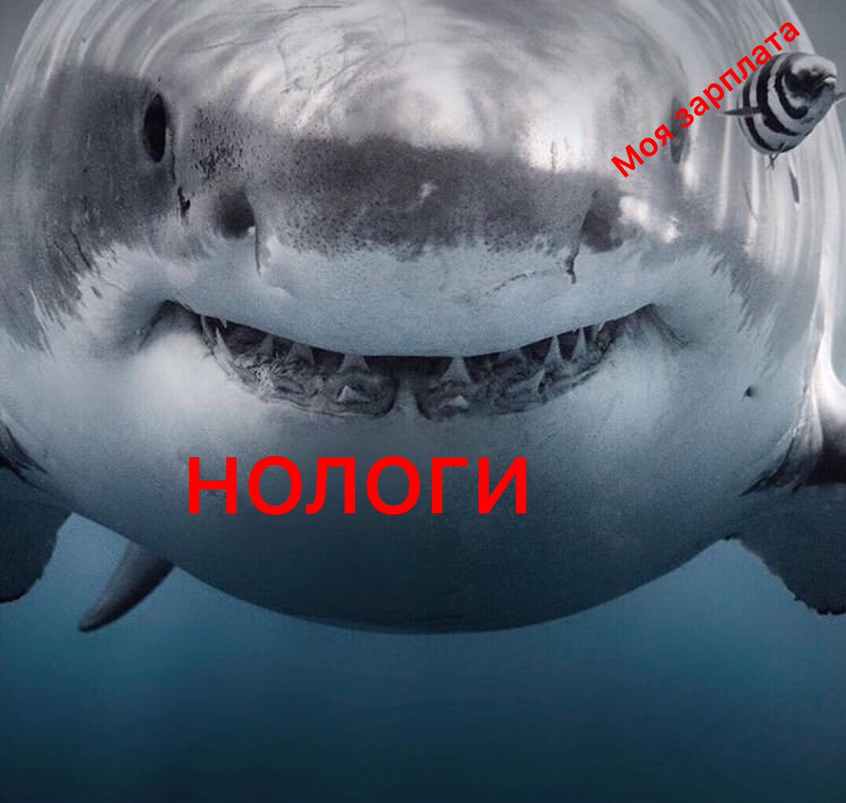 DvQcCibX0AA5Agb.jpg