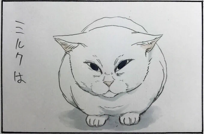 『そばにいたい』 