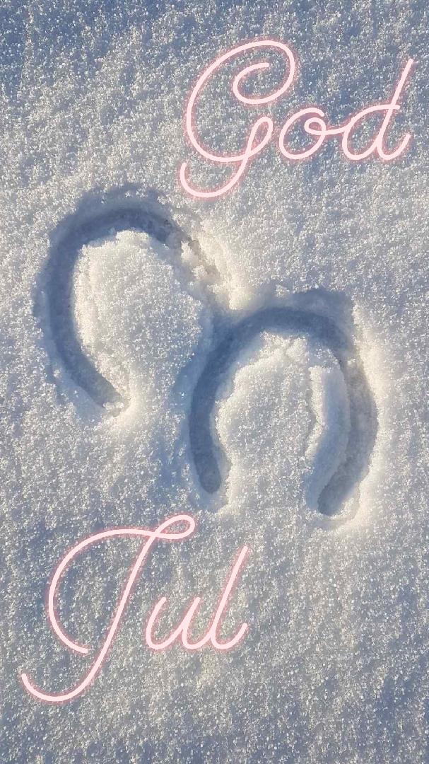God jul och gott nytt år önskar vi på stallet till er alla!🎅