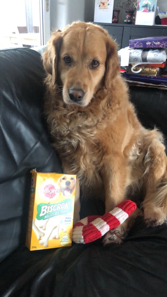 ami3xxxx's tweet photo. @NatalieJaneB_ Merry Christmas! Glad you like them, Pablo was very pleased with his presents too! 🙊🎄 https://t.co/HT3azeGxAw
