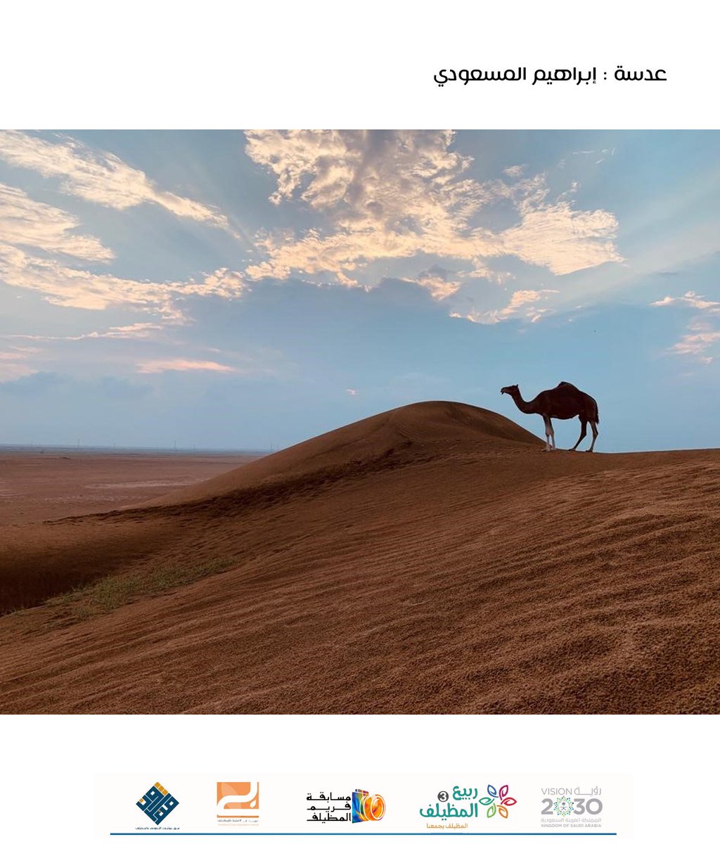 عدسة : إبراهيم المسعودي
رشح الصورة الفائزة في مسابقة #فريم_المظيلف🖼️  عبر إعادة التغريد 🔁
سيتم الإعلان عن الصور الفائزة بجوائز المسابقة في ختام #مهرجان_ربيع_المظيلف3
🥇 📸  كاميرا احترافية
🥈 📱 جوال
🥉 ⌚️ ساعة فاخرة
😍 الأربعاء آخر موعد للمشاركة.
#المظيلف_تجمعنا