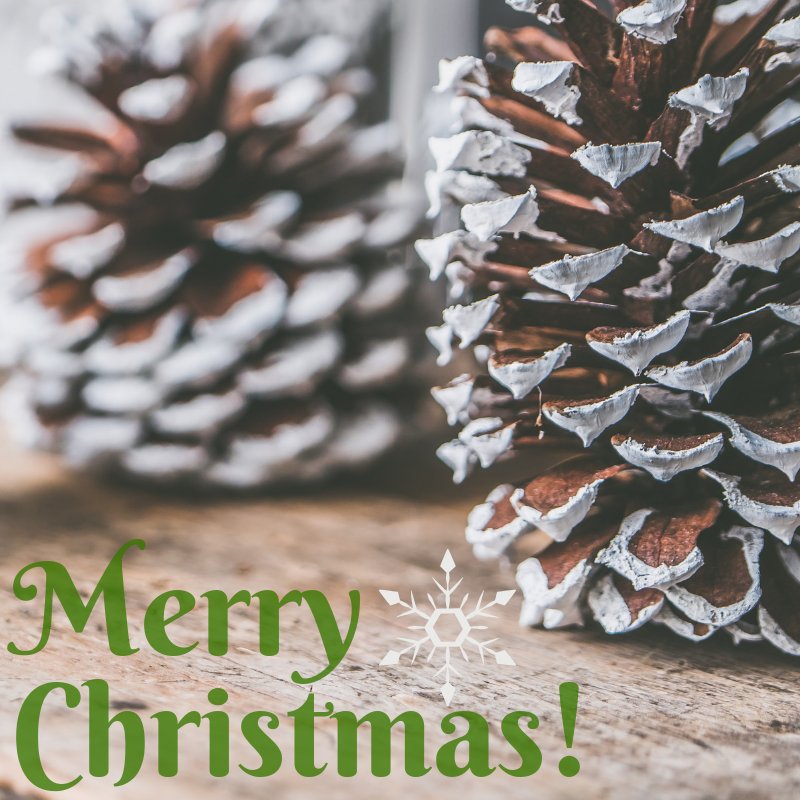 ContentQueensUK's tweet photo. #christmasishere #festive #festiveseason #happychristmas https://t.co/4gqSZSQ6BI