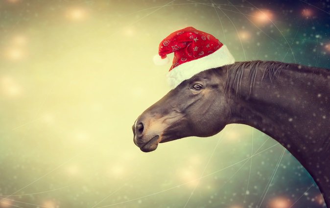 Carr Day Martin tweet media