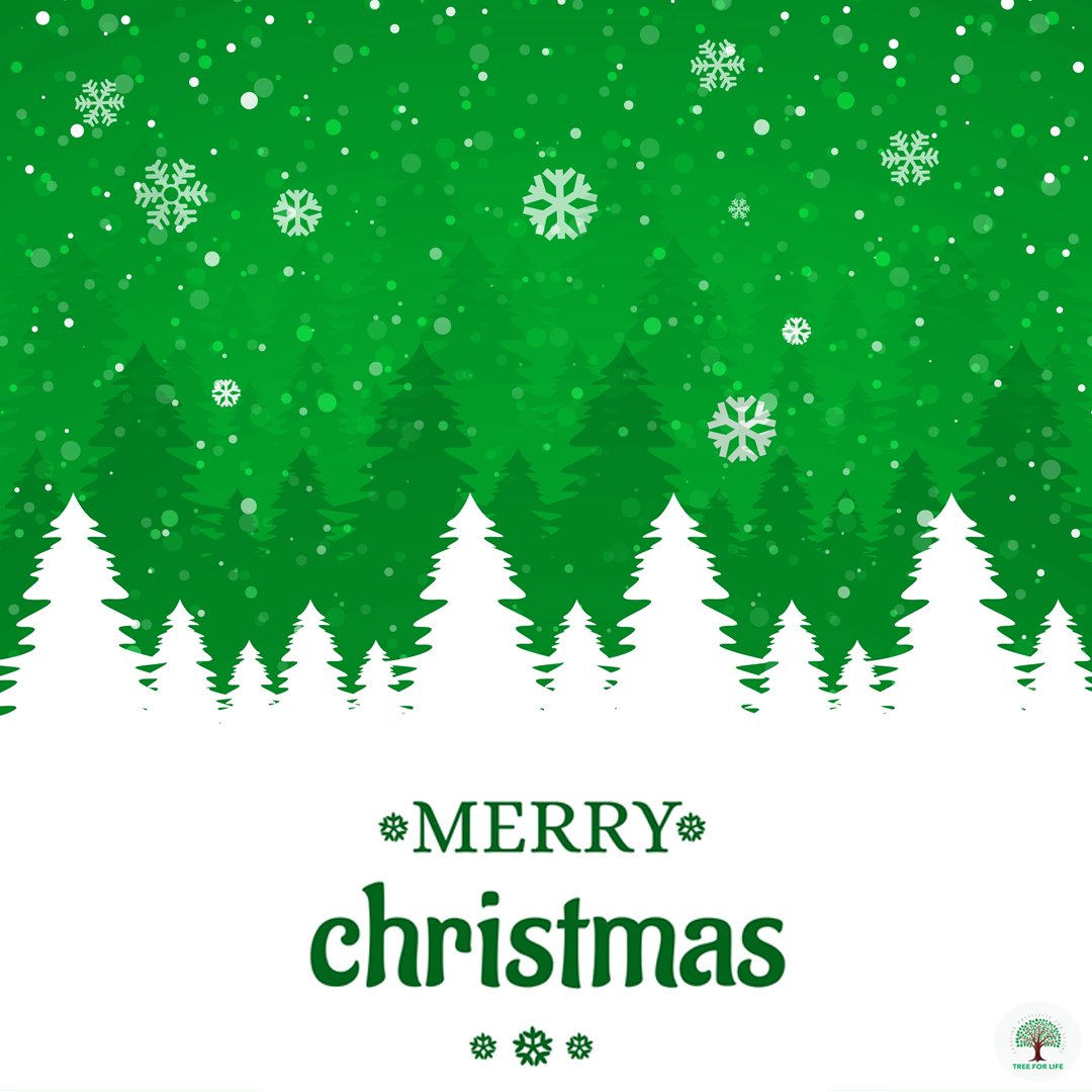 #TreeForLife wishing you all a Merry Christmas, filled with love, peace and joy.

#HappyChristmas #MerryChristmas🎄🎉