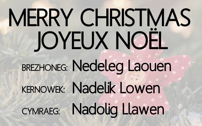 Merry Christmas / Joyeux Noël

Brezhoneg: Nedeleg Laouen [ne'de:lɛɡ 'lɔwɛn]
Kernowek: Nadelik Lowen [na'dɛlɪk 'lɔwɛn] 
Cymraeg: Nadolig Llawen [na'dɔlɪg 'ɬawɛn]