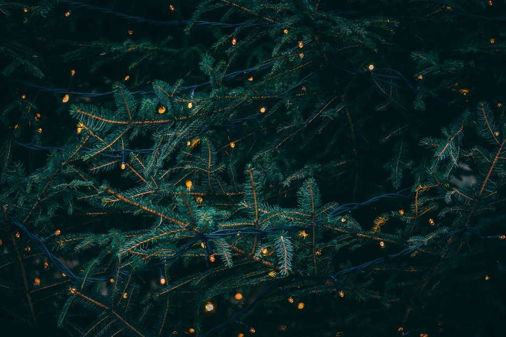 МОЯ ПЕРВАЯ ЦЕПОЧКА ТВИТТЕРСКИХ
(поддержи пожалуйста ❤️)

✨ДЕЛАЙ РТ

✨ЧИТАЙ РЕТВИТНУВШИХ 

✨ЧИТАЙ МЕНЯ (Я ВЗАИМНЫЙ)

✨БУДЬ ВЗАИМНЫМ))

🎉🎄ВСЕХ С НАСТУПАЮЩИМ🎄🎉

#ЦепочкаТвиттерских 
#ЦепочкаФолловеров