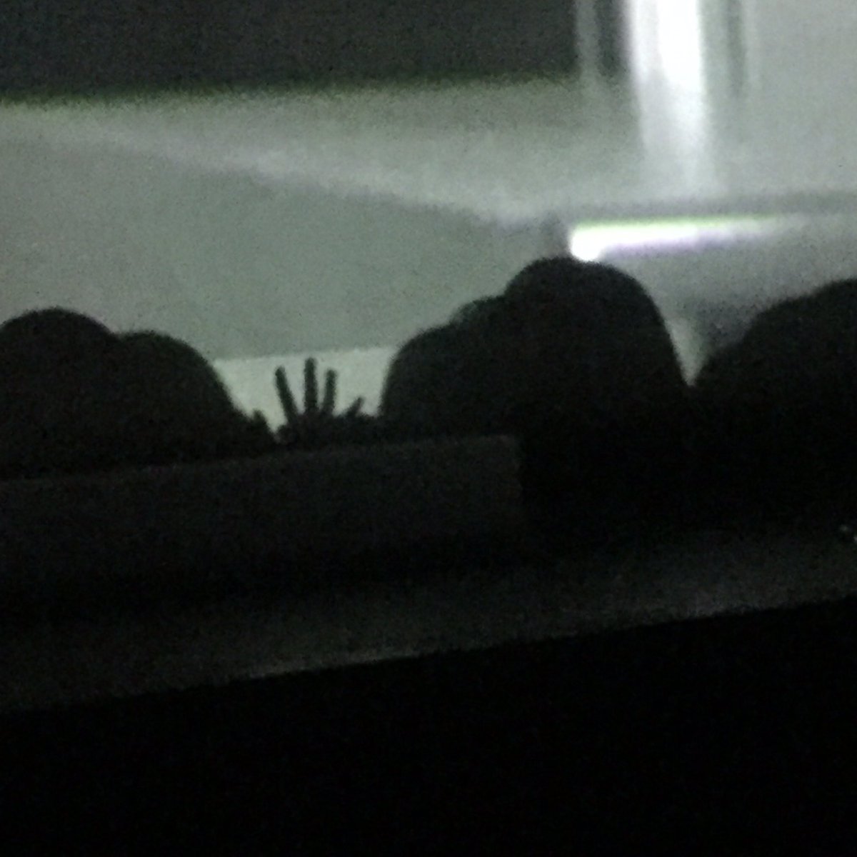 forPIL's tweet photo. 기념샷을 하나도 안찍었어... vcr할때 홀로 그림자 놀이한 기념샷 뿐(ˀ͙) https://t.co/2YHuyhNFBQ