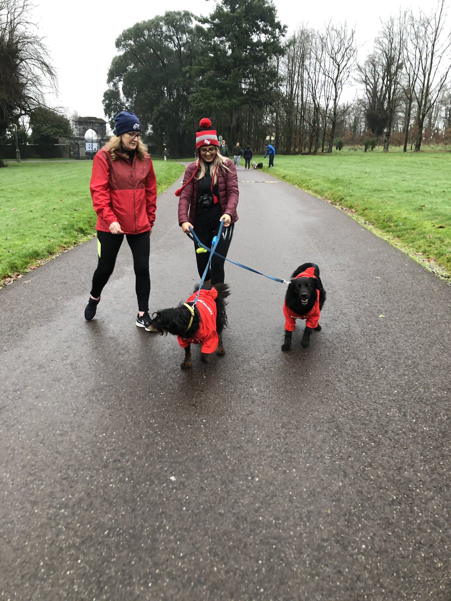Dogs out in force for this morning’s <a href="/mile_goal/">Goal Mile Doneraile Park</a> #GOALmile #ChristmasTraditions
