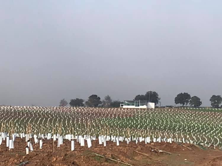 Desde Iberaqua queremos desearos unas felices fiestas !!!!