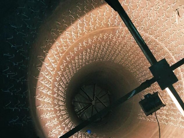 ref_solutions's tweet image. SS310 anchor welding in progress in incinerator