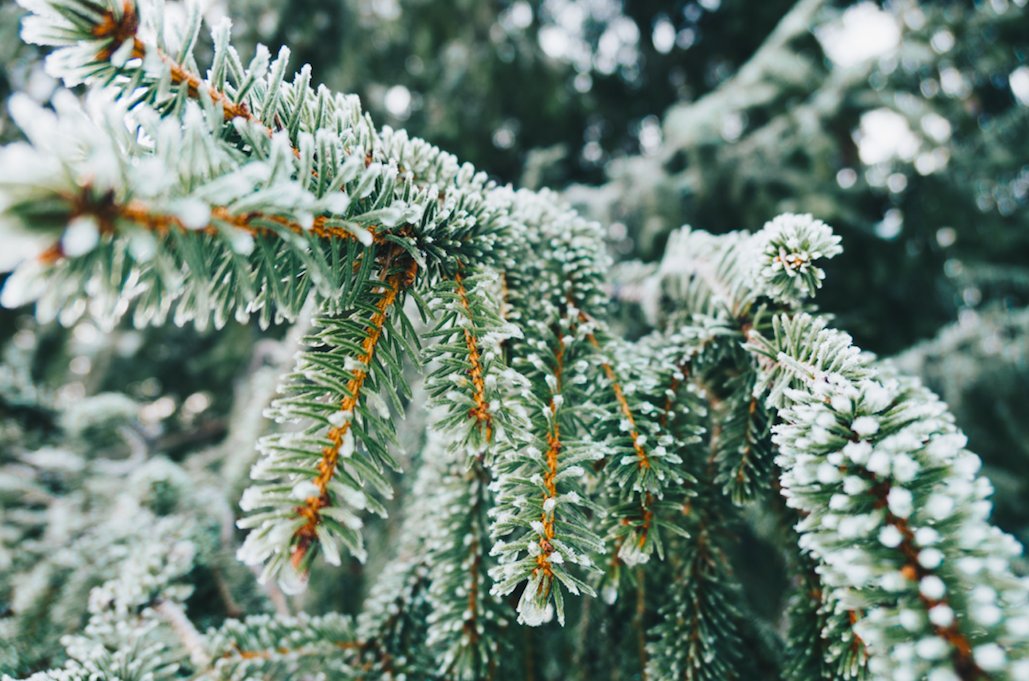 Happy Holidays from the Energy Storage Networks team!