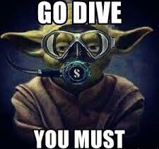 Follow Master Joda’s New Year resolution in 2019...buy some dive gear, follow a course and bring some business to a dive professional near you! #masterjoda #newyearresolution #godive #diveprofessionals #thedivepro #scubapro #divegear #scuba #jedimaster