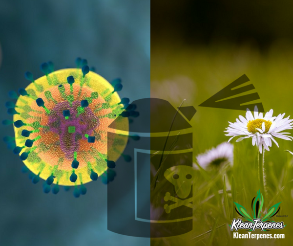 KleanTerpenes's tweet photo. Plants get sick just like humans. https://t.co/fLuM1LfHWo #PlantNutrition #PlantNutrients #SoilQuality #Nitrogen #Microbes #MicrobialFertilizer #OrganicGrowing #BioMass #Spores #Soil #Crop #Organic #Soilconditioner #Plants #Farmer #KleanTerpenes #KleanGrow https://t.co/5gjRcmjRqG