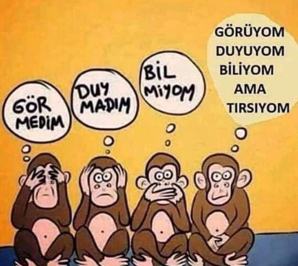 3'tü, ülkeye özgü olarak 4'lendi.😊😊