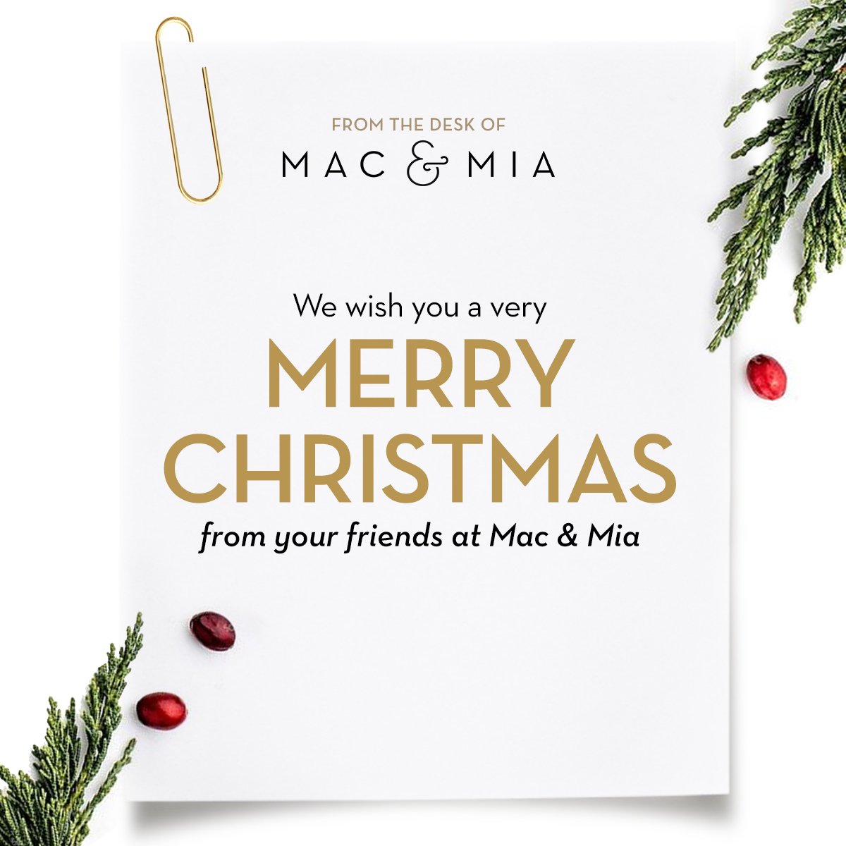 Mac & Mia tweet media