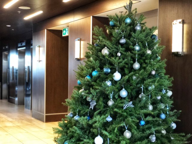 DoubleTreeVic's tweet image. Merry Christmas to all our friends and guests. We wish you a lovely day surrounded by loved ones. #DoubleTreeVictoria #MerryChristmas #YYJhotel
