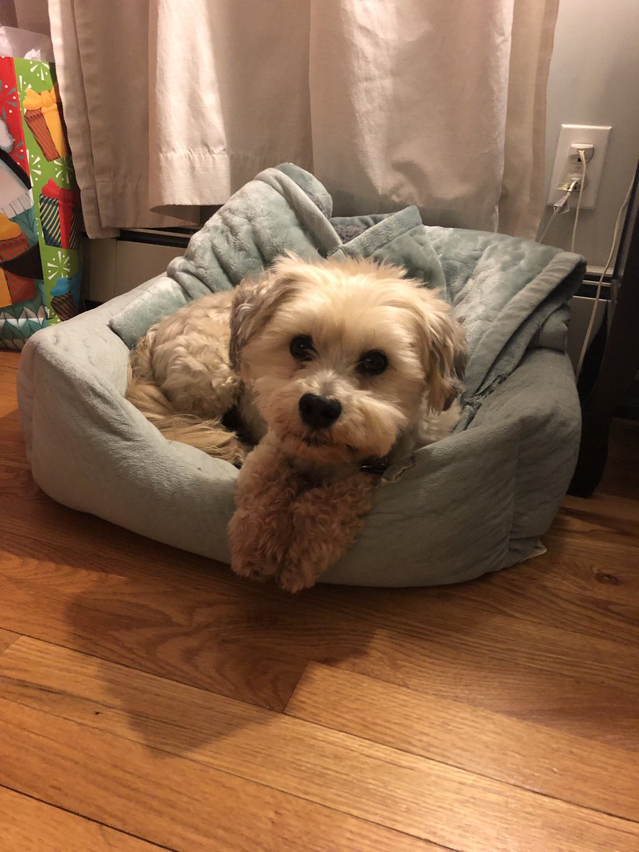 Merry Christmas y'all! My daughter still isn't here yet and her brother has been patiently waiting this whole time! Last week he told me to write this song about her because WE WANT TO HANG WITH HER SO I DID AND HERE IT IS! 
soundcloud.com/amtaepodcast/g…