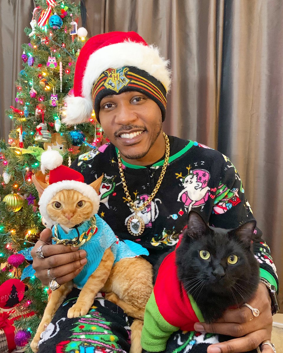 Merry Christmas everyone! My cats Dj Ravioli, Black Savage and I was looking to spread some holiday love and smiles to you all. Retweet if we completed our goals
