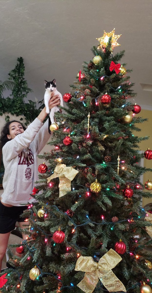 edxhighwind's tweet photo. Merry Dripmas y'all! https://t.co/Es1M1DDOhj