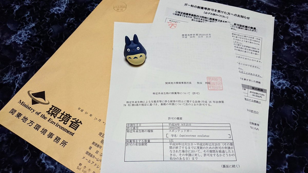友幸 富士ヒル分ブロンズ 来年シルバー目標 環境省からやっとスポガーの特定外来生物飼養許可証が届いた 本当は4月の 特定外来生物指定前にロングノーズガーやスポガー増やしたかったけど買い逃したので唯一のスポガーは最期まで大切に育てたい 友幸 富士ヒル分ブロンズ 来年シルバー目標 環境省からやっとスポガーの特定外来生物飼養許可証が届いた 本当は4月の 特定外来生物指定前にロングノーズガーやスポガー増やしたかったけど買い逃したので唯一のスポガーは最期まで大切に育てたい
