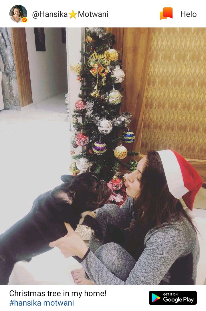 ihansika's tweet photo. Merry Christmas 🎄 https://t.co/Rd1g3N78gN