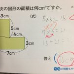 小学生の面積の問題!掛け算の順番まで合わせないと◯が貰えない!？