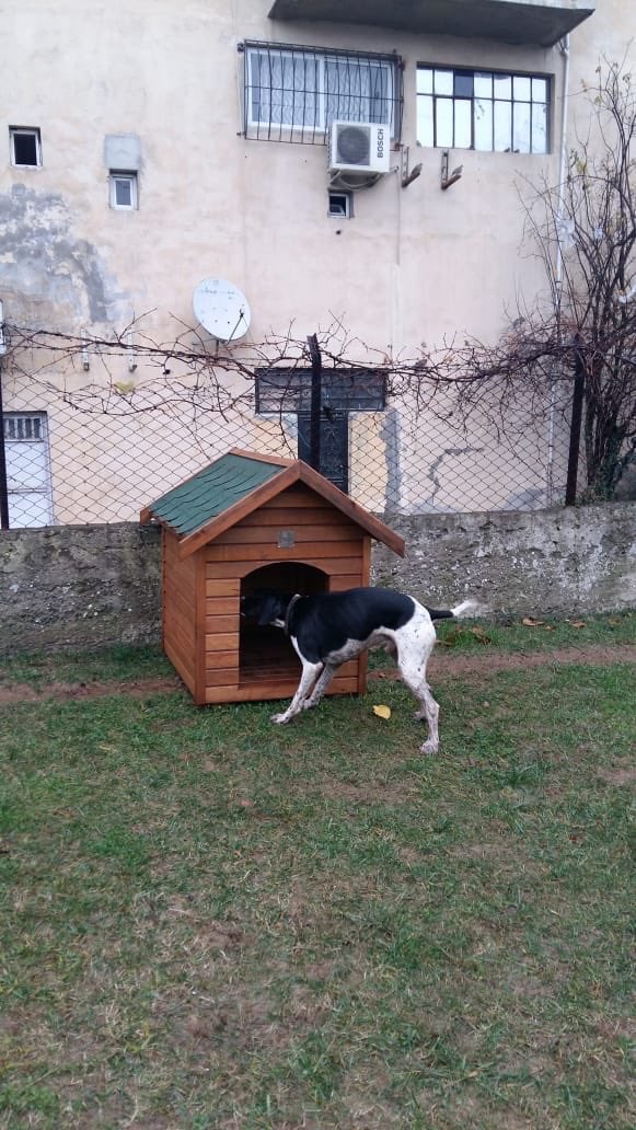 hasan_can's tweet photo. Havaların her gün biraz daha soğuduğu bugünlerde Ümraniye Belediyesi olarak ilçemiz geneline koyduğumuz kedi ve köpek evleriyle minik dostlarımızın yağmurdan ve soğuktan korunmasını sağlıyoruz. https://t.co/mlYFfGurlc