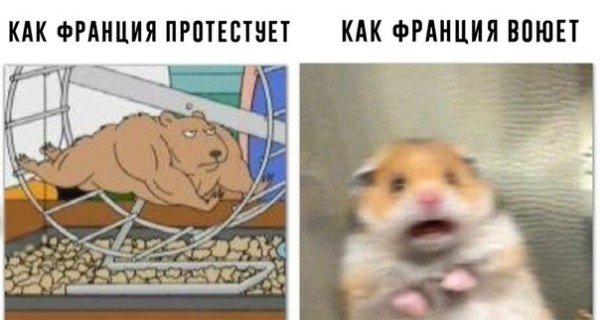 https://pbs.twimg.com/media/DvRFArUXQAAVApm.jpg