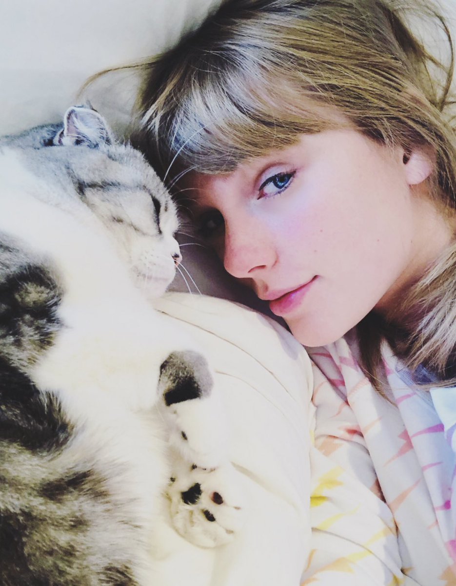 flag_tour's tweet photo. @taylorswift13  UM NO ONE GAVE YOU PERMISSION TO MAKE US DIE LIKE THAT https://t.co/g71xpONUH2