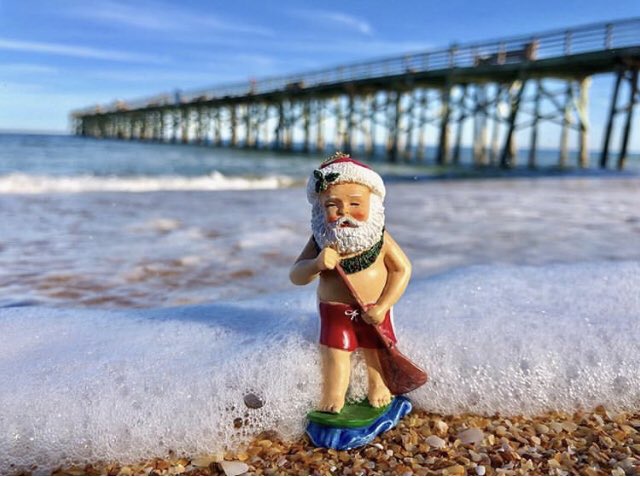 JCLALoggerhead's tweet photo. Merry Christmas!🎄 https://t.co/xh5RQfw2px