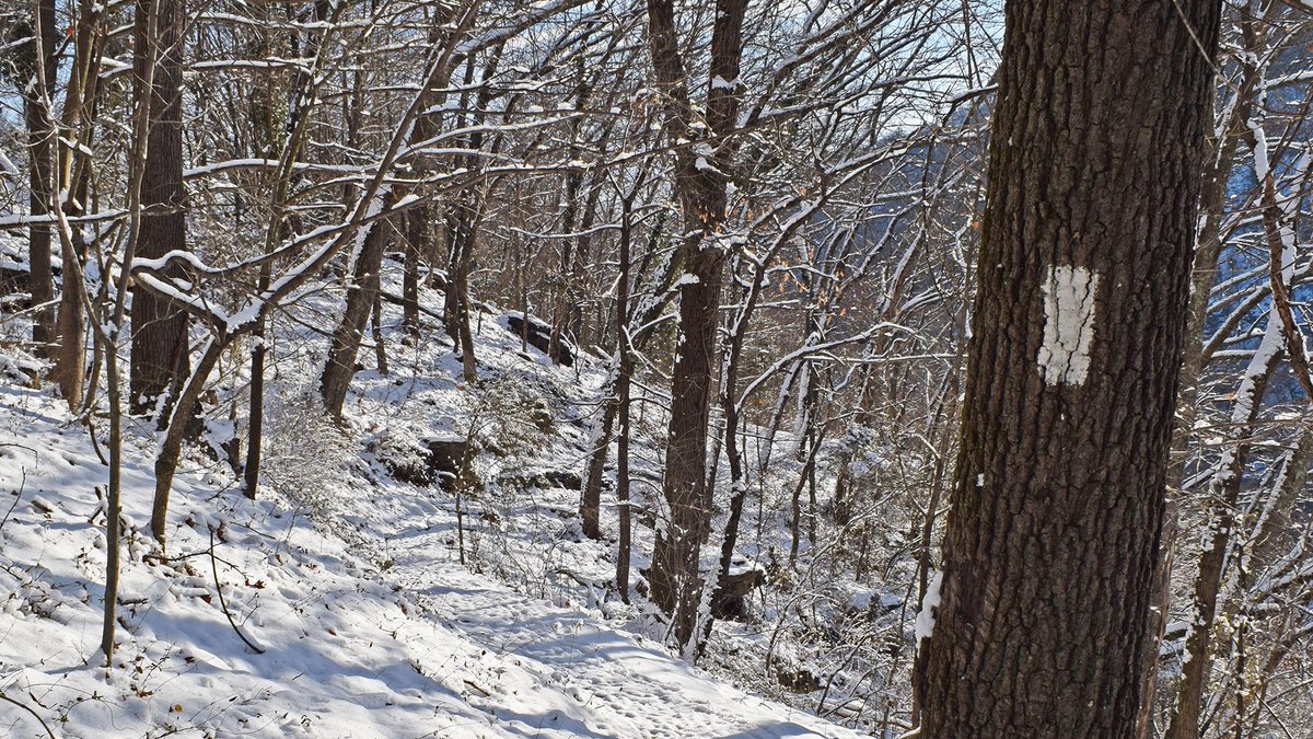 AT_Conservancy's tweet photo. #MerryChristmas and #HappyHolidays from the #AppalachianTrail Conservancy! May your trails be merry and bright 🎄 https://t.co/K2931OdgSI
