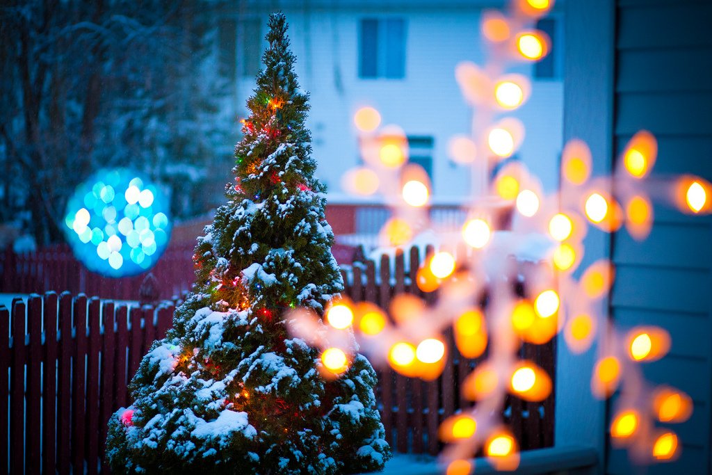 From all of us at S&F wishing you a very Merry Christmas!
#merrychristmas #christmas https://t.co/s7uF29XADt