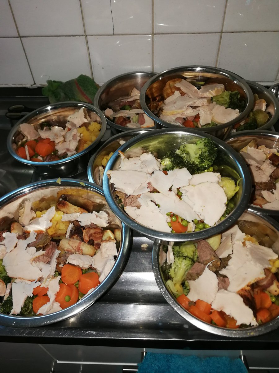 Opt to Adopt tweet media