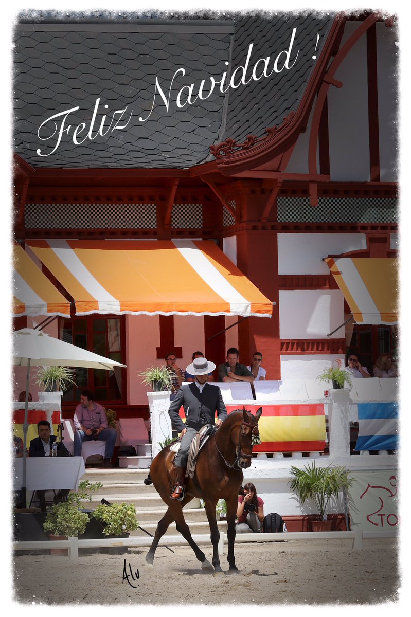 gabrielcorralon's tweet photo. FELIZ NAVIDAD!
#domavaquera #equitacion #caballo #vaquera #doma #hipica #equitacioncentrada #gabrielhernandez #instahorse #horsesplanet #dressagehorse #centeredriding https://t.co/MRR4pQBpIm