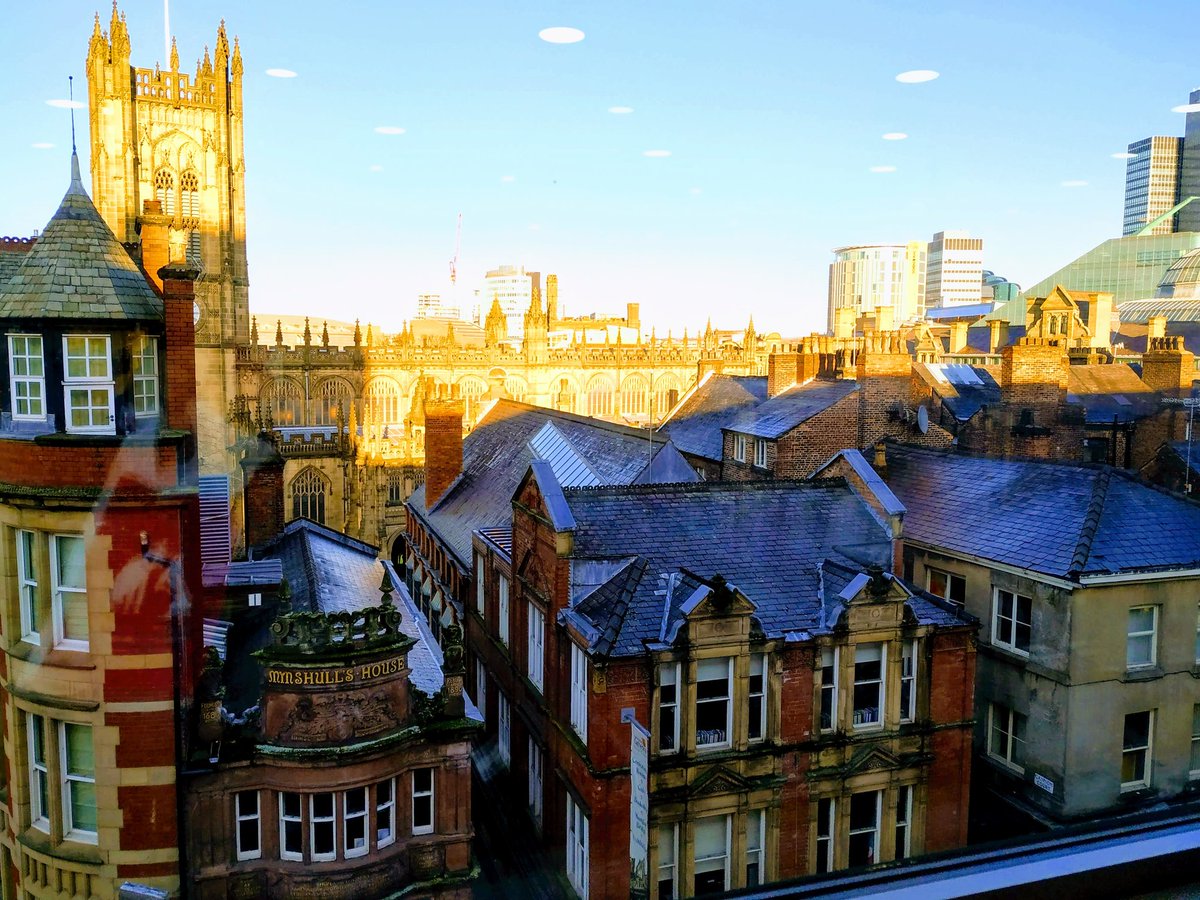 Technogogical tweet media