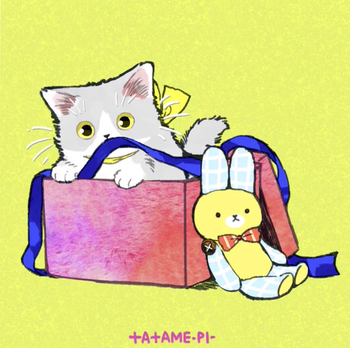 箱とリボンが好き。? 
