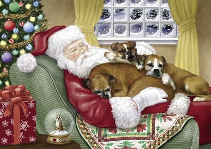 WeBarkClothing's tweet photo. #MerryChristmas #BoxerLife #WeBarkClothing We hope everyone is have a very blessed, and merry Christmas ♥️🙏🏼🎄🐶 https://t.co/ha2kUNtsbc