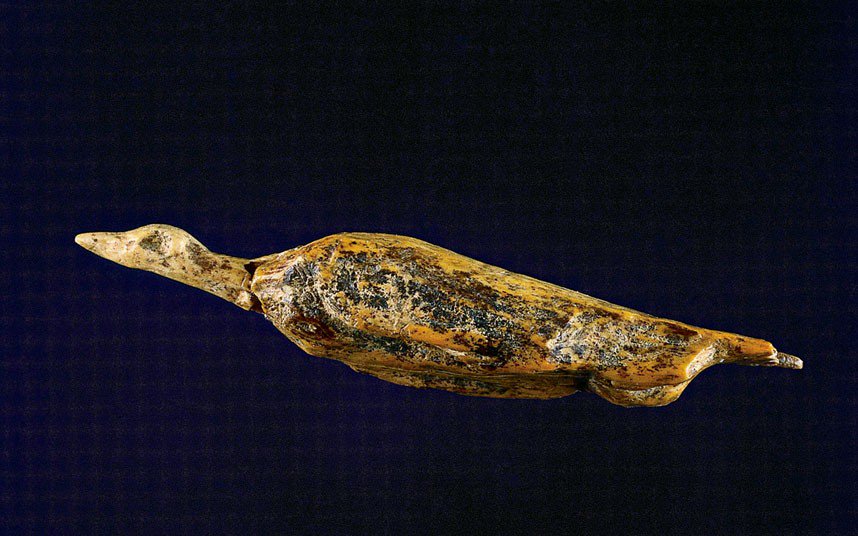 This small carving of a water bird was created 33,000 years ago. The