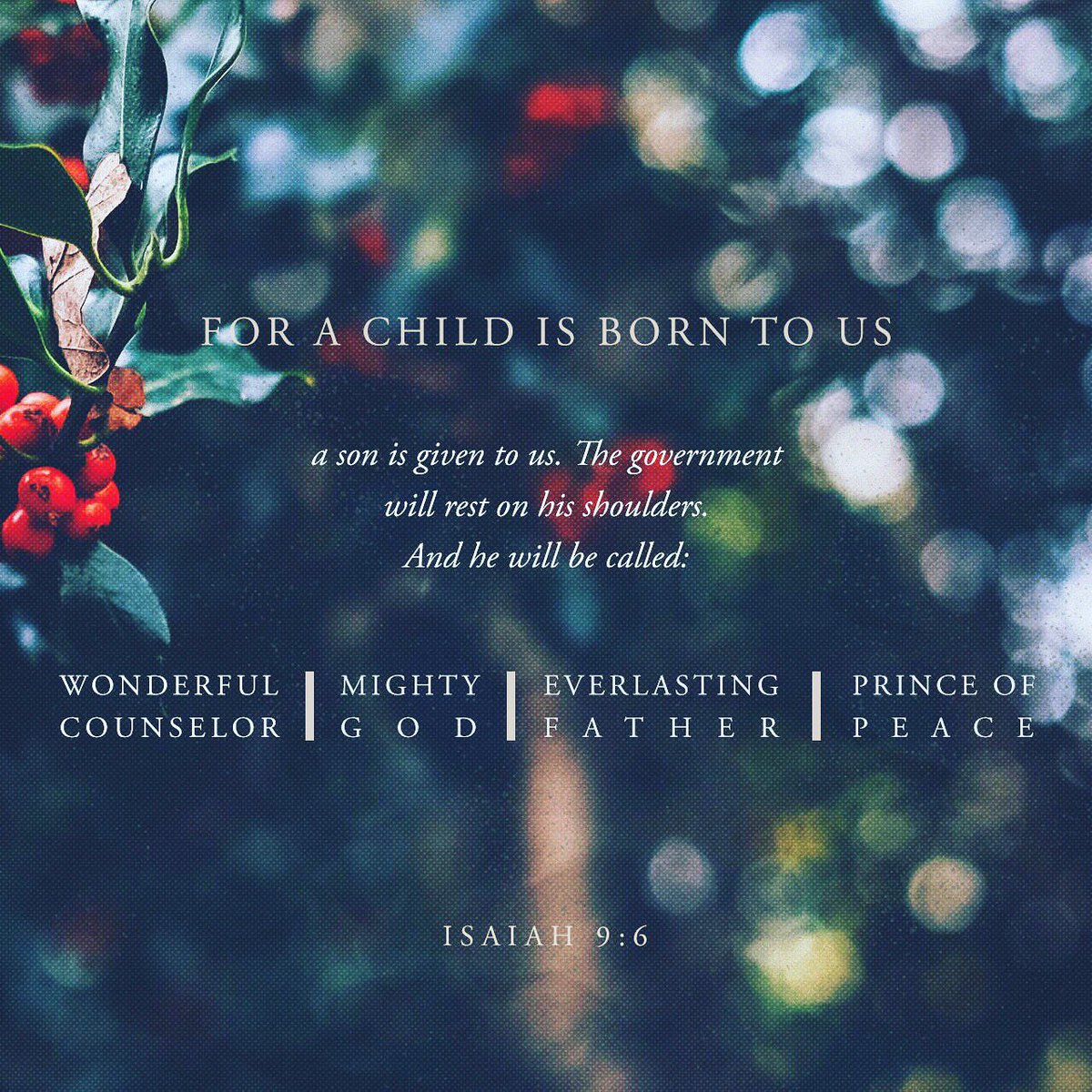 StBeloved's tweet photo. Merry Christmas! https://t.co/nntmEykuQq