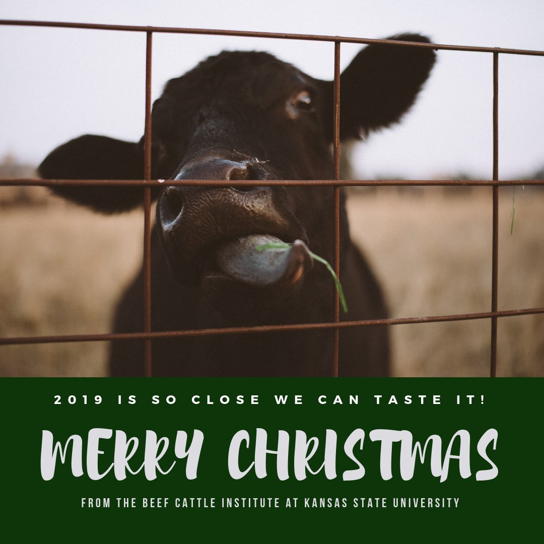 ksubci's tweet photo. Merry Christmas all! 🎄 https://t.co/mAfpf6eFOC