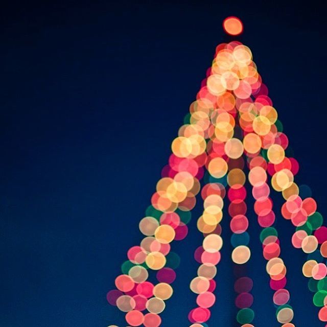 roombuffalo's tweet photo. It would have been a blue Christmas with out you. Thank you for sharing another exciting holiday season with us. Merry Christmas, have a magical day! 🎄🎁 https://t.co/sfzo510KoT https://t.co/YXhd8GndTk