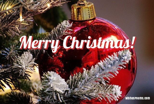 sandra_muse's tweet photo. Merry Christmas from our family to yours 🎄🎅🏼 #christmas #MerryChristmas #christmasday #ChristmasDay2018 #blessed #thankful #deputydaughter #firewife #nurse #publicservicefamily https://t.co/WpBRu5iGLS