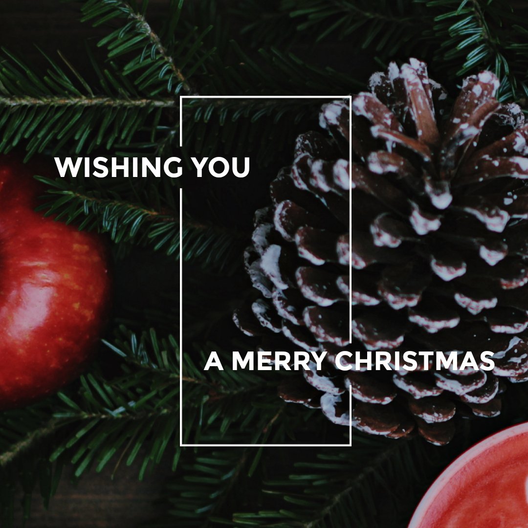 Wishing you a magical Christmas.