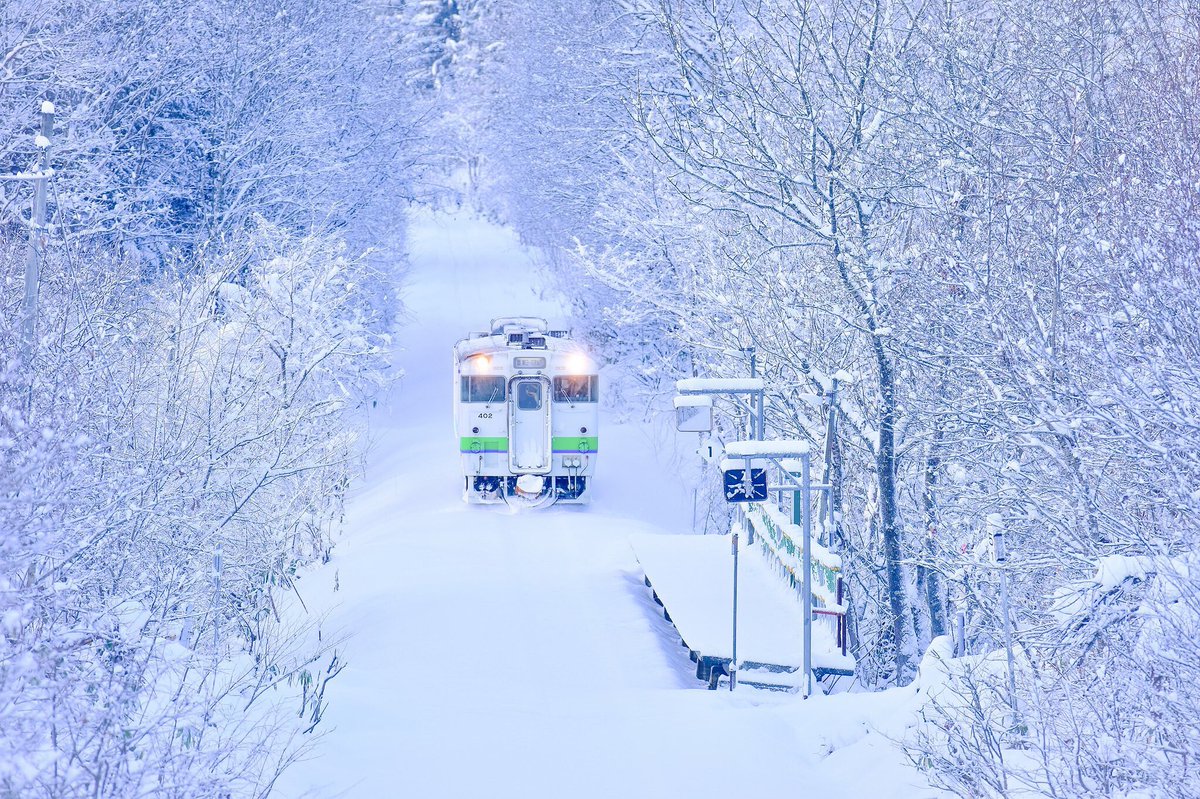 Miyaken5872's tweet photo. 今年も良い写真が沢山撮れました。来年も季節感のある写真が撮れたらいいな。#2018年自��が選ぶ今年の4枚 https://t.co/V0GtpyVCO0
