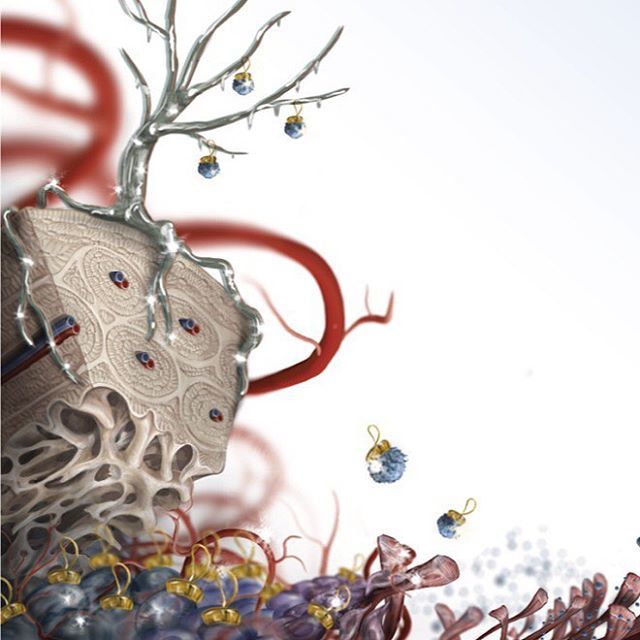 Isn't science beautiful? I added some ornaments to my cellular landscape hehe

#pathology #bloodvessels #fop #angiogenesis #fibrodysplasiaOssificansProgressiva #sciart #lymphocytes #chonrogenesis #osteogenesis #tissue bit.ly/2PWQsUx